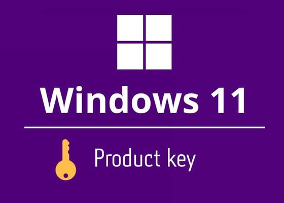 Entrega casera del correo electrónico de la llave del producto de  Windows 11 de la lengua de Muliti